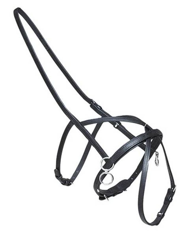 Wahlsten 5 rings cavasen sliding noseband