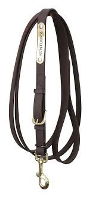 Hovedbilde Kentuckytion Presentation Lead 2m