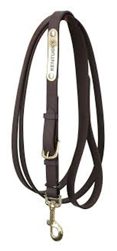 Kentuckytion Presentation Lead 2m