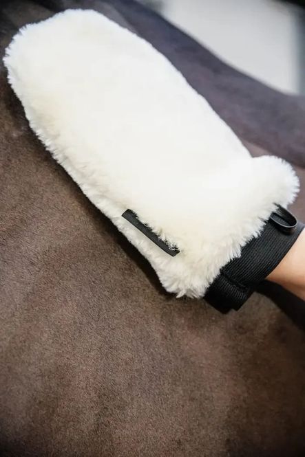 Hovedbilde Grooming deluxe sheepskin glove Natur