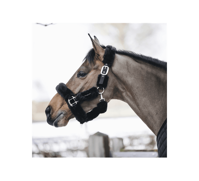 Hovedbilde Kentucky Sheepskin Shipping Grime