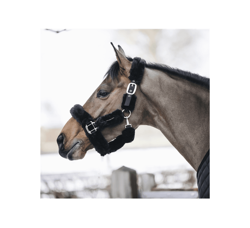 Kentucky Sheepskin Shipping Grime