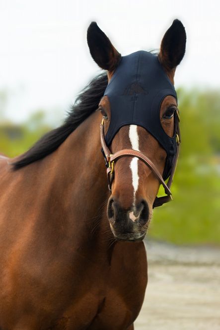 Hovedbilde Fenwick Liquid Titanium Mask - Sort
