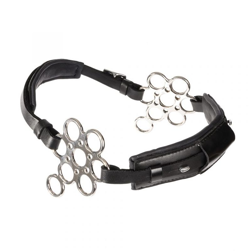 Globus Flower hackamore