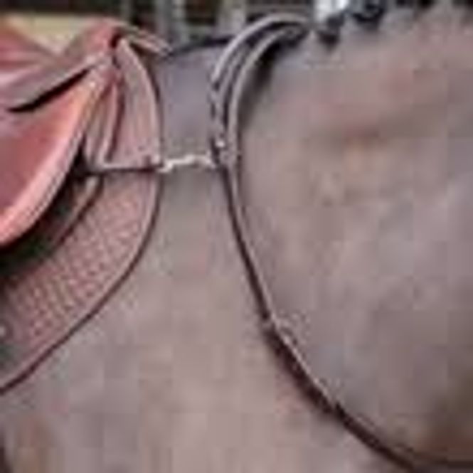 Hovedbilde Neck Strap med håntak