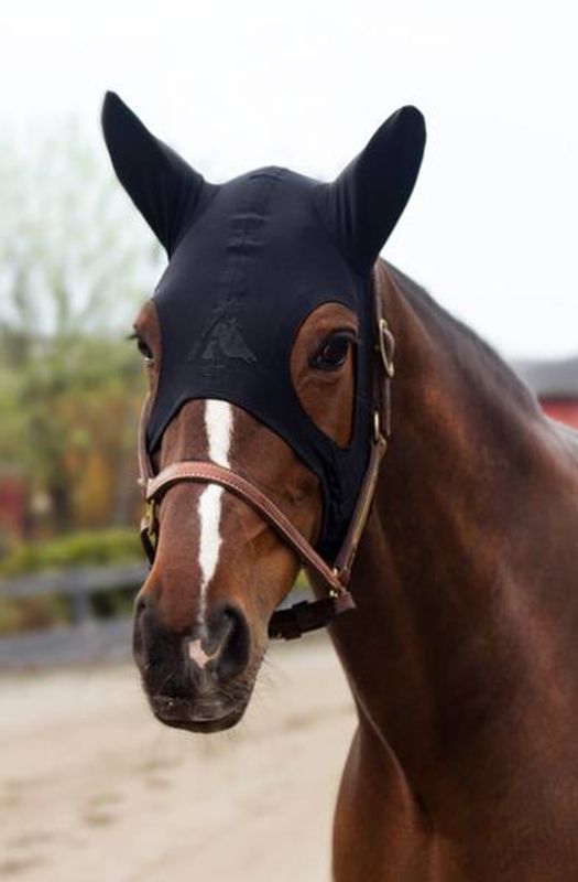 Fenwick with Ears - Sort