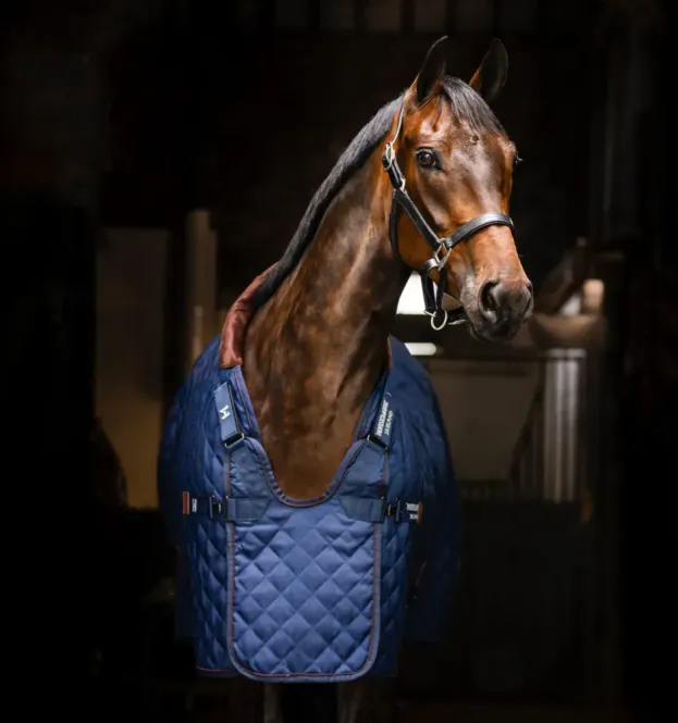 Hovedbilde HW Signature Stable 200g