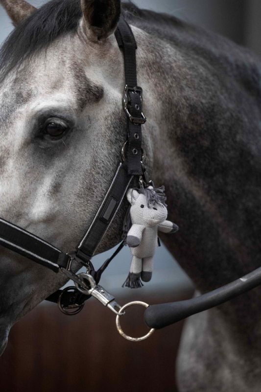 KL Monty Knitted Horse Teddy